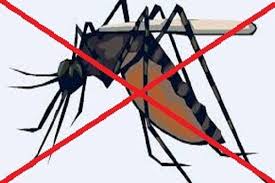 Dịch Vụ Phun Muỗi – Phun Muỗi Tại Nhà